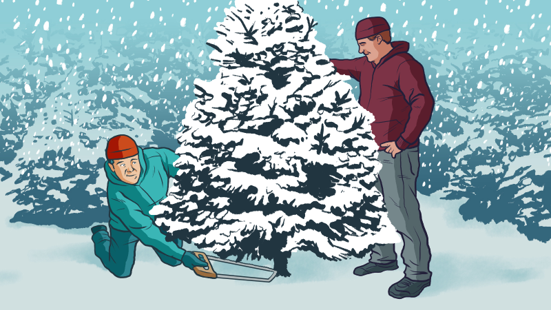 Illustration for article titled A Complete Guide to Finding and Chopping Down Your Own Tree